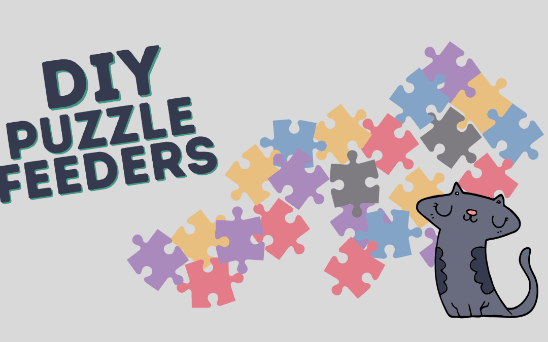 DIY Puzzle Feeders