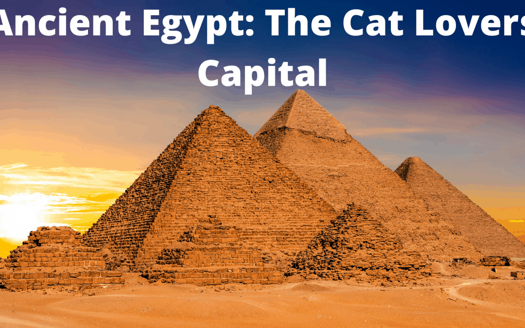 Ancient Egypt: The Cat Lovers Capital
