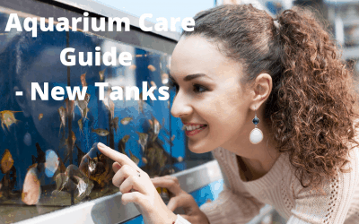 New Tank, Aquarium Guide