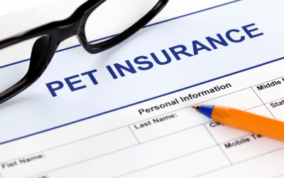 Pet Insurance: Why Buy?
