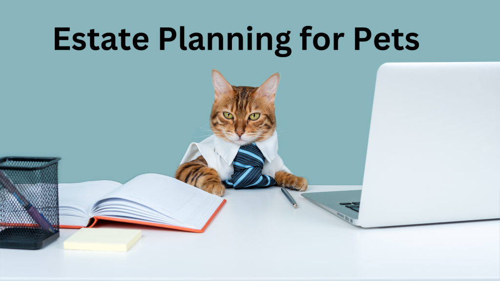 Estate Planning for pets