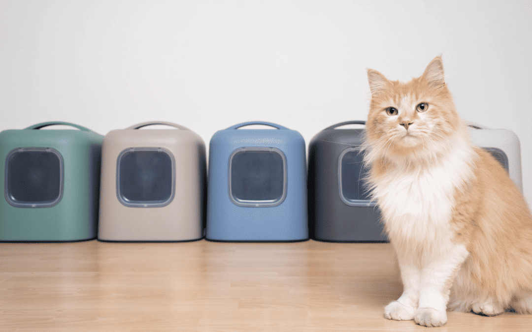Urinary issues in Cats